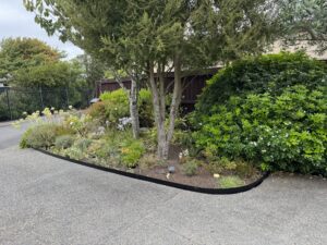 black coated steel edging garden