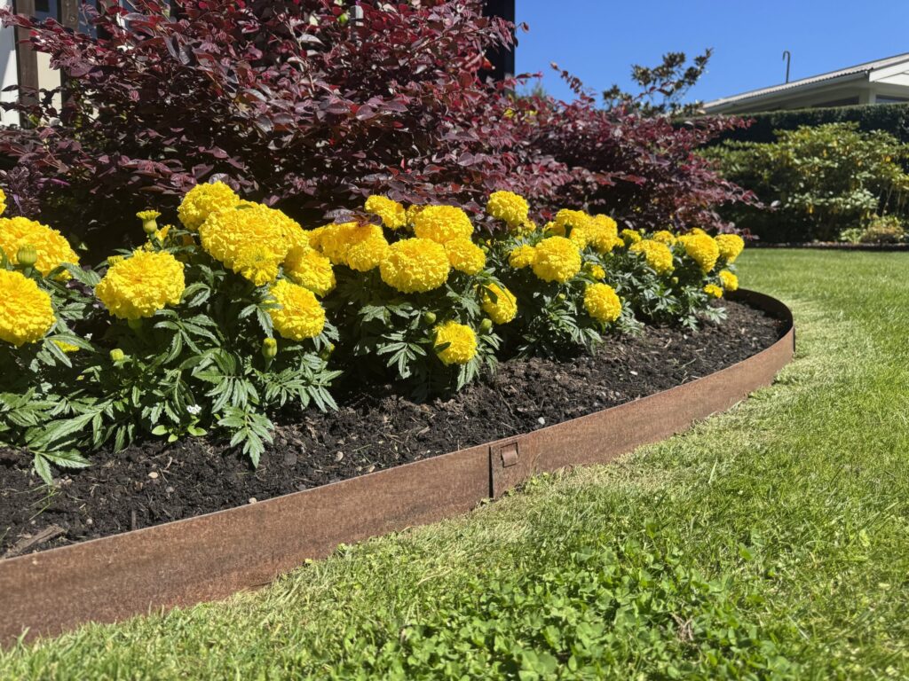 corten steel edging garden flowers